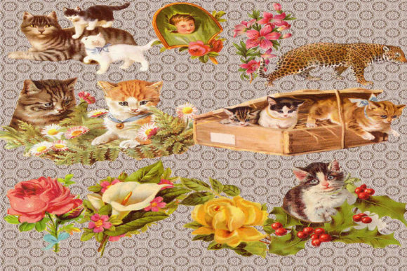 Cat Clipart for Creative Projects