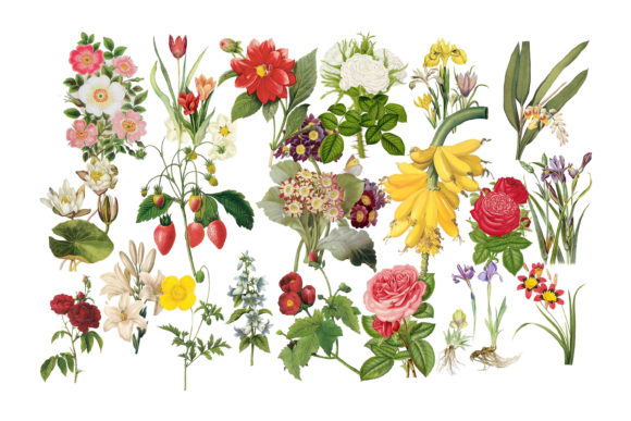 Flower Clip Art: Strategic Use for Creative and Professional Projects