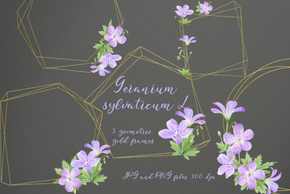Geranium. 5 Geometric Gold Frames: A Versatile Design Asset for Creative Projects