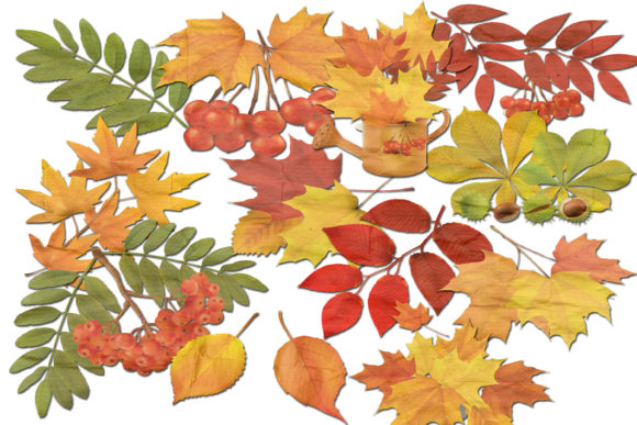 Leaves Clip Art: A Versatile Resource for Creative Projects