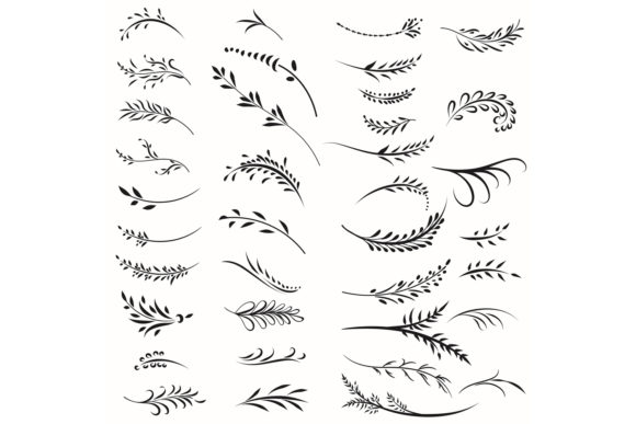 Set of Floral Calligraphic Swirls: A Versatile Vector Art Collection for Designers