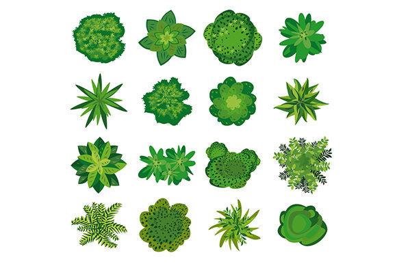 Trees - Top View: A Practical Guide for Landscape Design